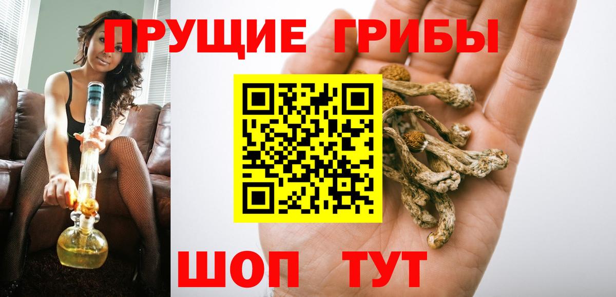 Петрозаводск  Галлюциногенные грибы Cubensis  Вход с VPN 