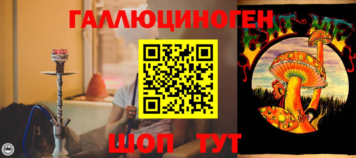 Псилоцибиновые грибы ЛСД Петрозаводск