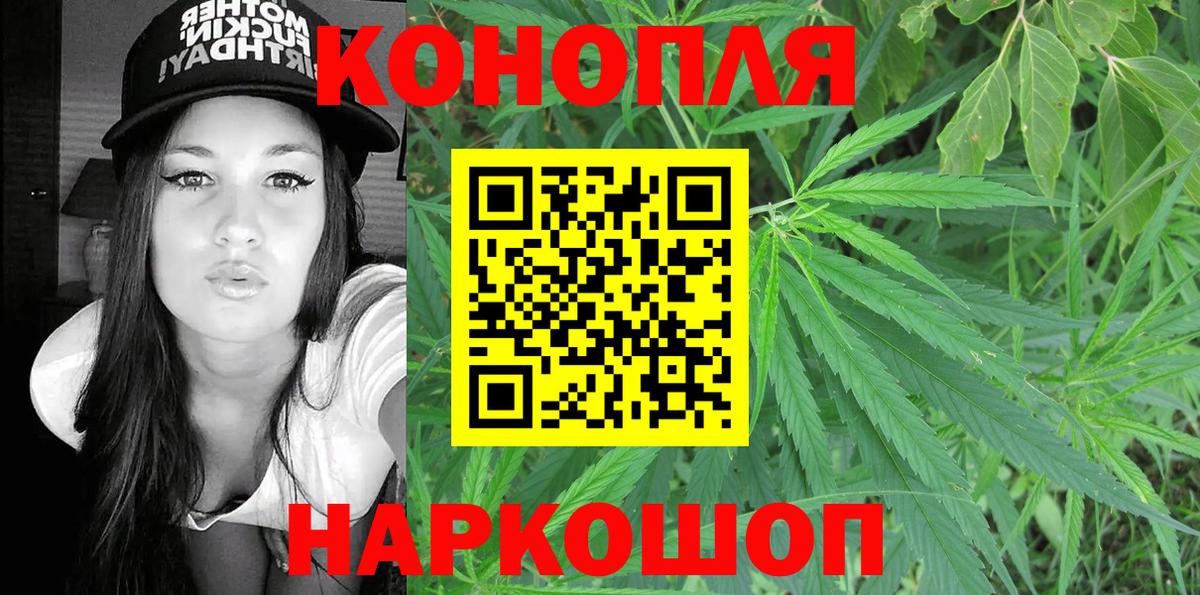 Бошки Шишки семена  Вход с VPN  Марихуана Bruce Banner  Петрозаводск  Марихуана VHQ 